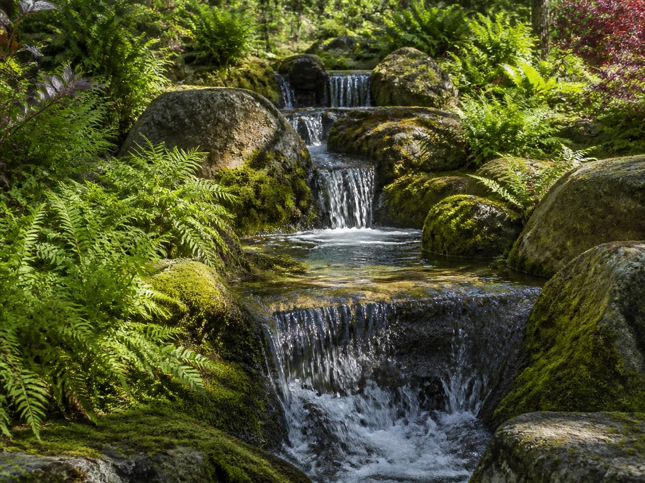 Natuurstenen waterval met varens in een aangelegde tuin